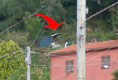 Il piccolo escavatore nella terra del Candido