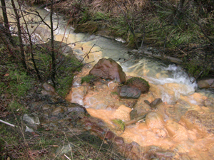 e poi ci si fonde con il rivo di acqua limpida...