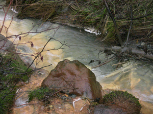 e poi ci si fonde con il rivo di acqua limpida...
