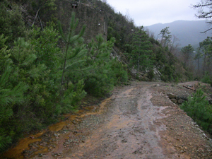 dalla galleria verso valle