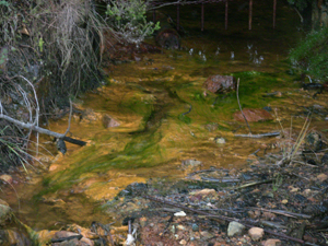 il fiume "giallo"