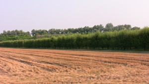 l'agricoltura è la ricchezza di questa terra