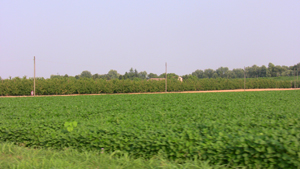 l'agricoltura è la ricchezza di questa terra
