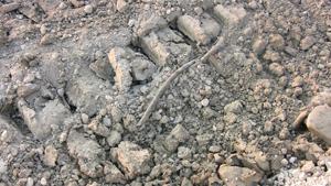 tracce di cingolati nell'arae