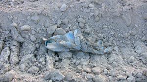 materiali nell'area discarica