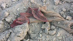 materiali nell'area discarica
