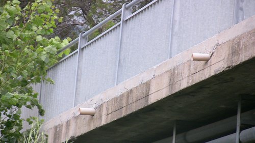 il PONTE MOLTEDO