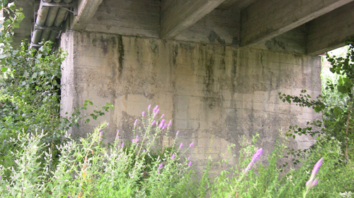 il PONTE MOLTEDO