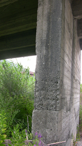 il PONTE MOLTEDO