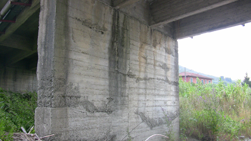 il PONTE MOLTEDO