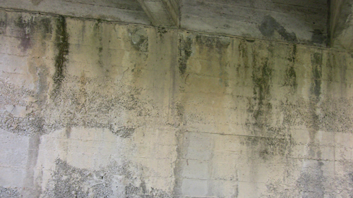 il PONTE MOLTEDO