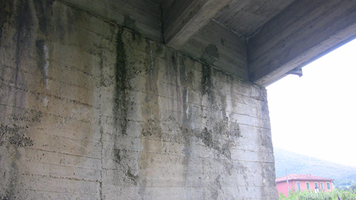 il PONTE MOLTEDO