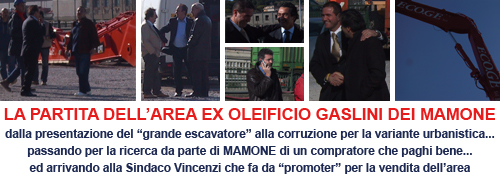 La VINCENZI dice che non... ma poi... vai a capire!