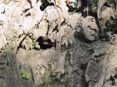 che belle sostanze scese tra pietre e rocce nel suolo (foto 2005)
